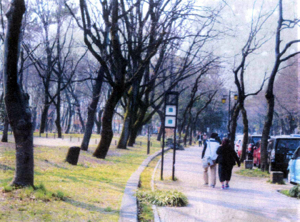 名城公園南入口噴水の南側東から西に走る道路について